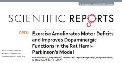 The daily use of UGO BASILE TREADMILL improves motor deficits and dopaminergic functions in a Rat hemi-Parkinson’s model! A recent publication